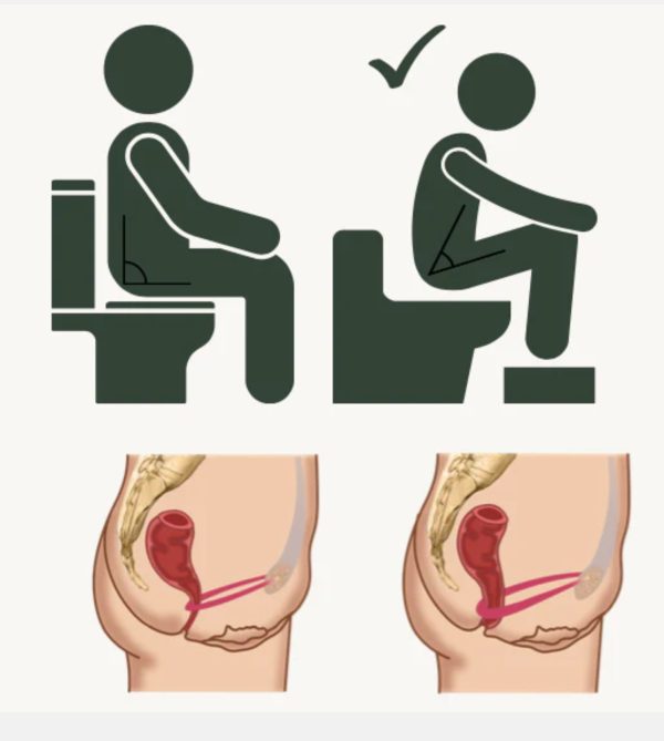 BIEN Toilet Stool - Image 4